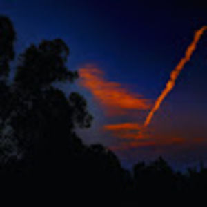 Meet your Posher, Rickie